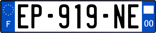 EP-919-NE
