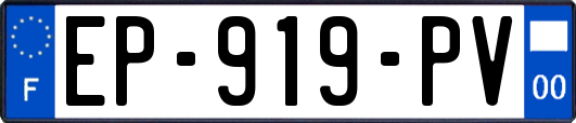 EP-919-PV