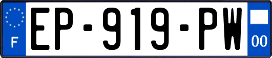EP-919-PW
