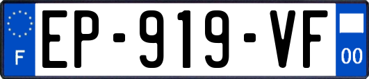 EP-919-VF