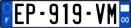 EP-919-VM