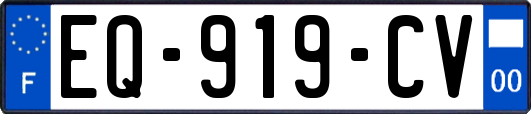 EQ-919-CV