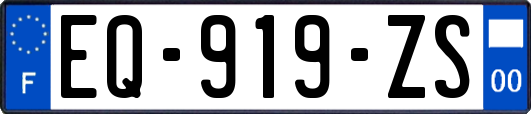 EQ-919-ZS