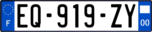 EQ-919-ZY