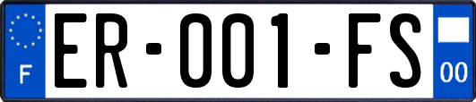 ER-001-FS