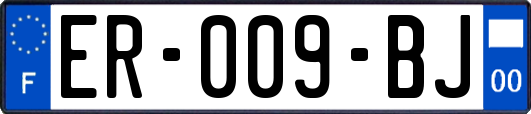 ER-009-BJ