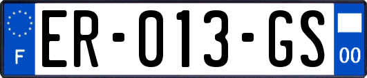 ER-013-GS