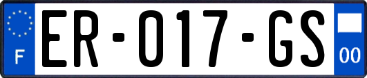 ER-017-GS