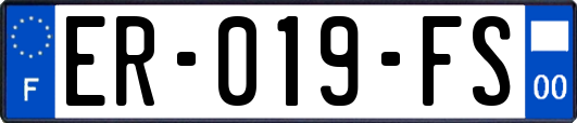 ER-019-FS