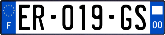 ER-019-GS