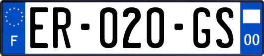 ER-020-GS
