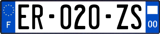 ER-020-ZS