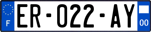 ER-022-AY