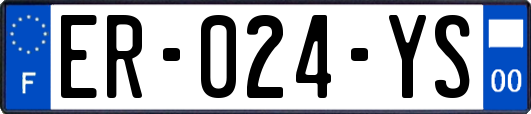 ER-024-YS