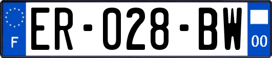 ER-028-BW