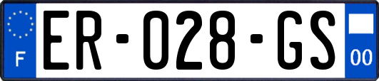 ER-028-GS
