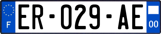 ER-029-AE