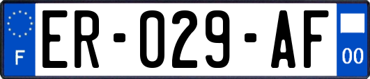 ER-029-AF