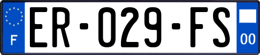 ER-029-FS