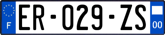 ER-029-ZS