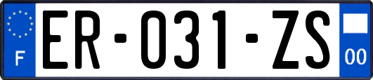 ER-031-ZS