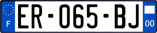 ER-065-BJ