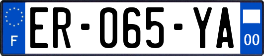 ER-065-YA