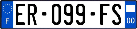 ER-099-FS