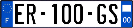 ER-100-GS