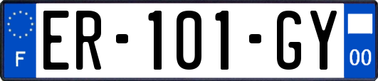 ER-101-GY