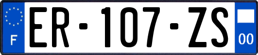 ER-107-ZS