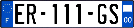 ER-111-GS