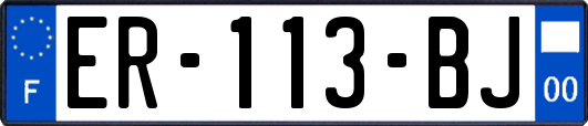 ER-113-BJ