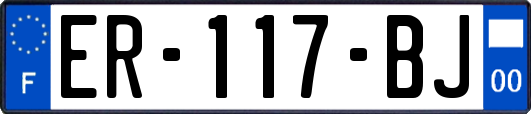 ER-117-BJ