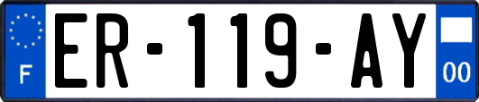 ER-119-AY