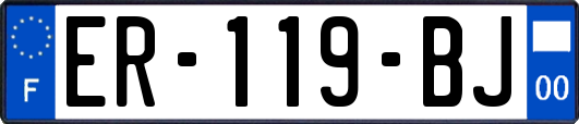 ER-119-BJ