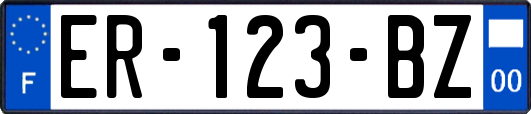 ER-123-BZ