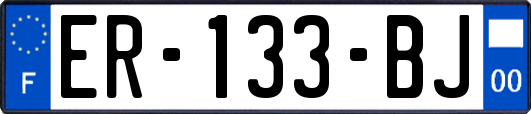 ER-133-BJ