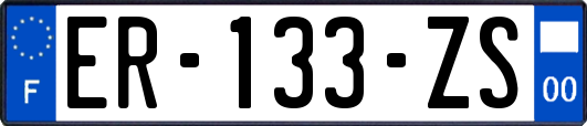 ER-133-ZS