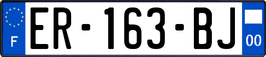 ER-163-BJ