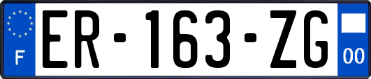 ER-163-ZG