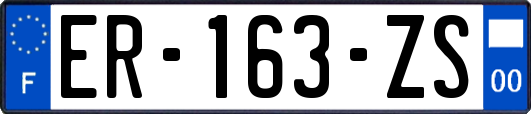 ER-163-ZS