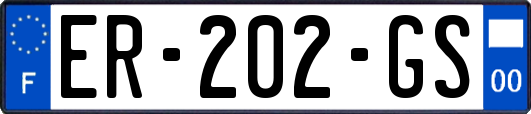 ER-202-GS