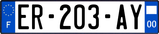 ER-203-AY
