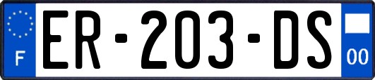 ER-203-DS