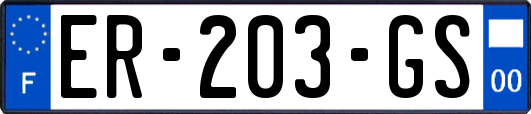 ER-203-GS
