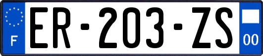 ER-203-ZS