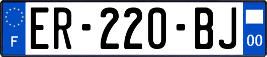 ER-220-BJ
