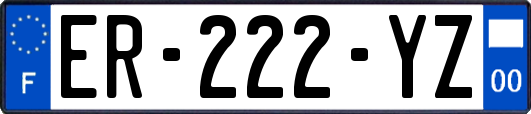 ER-222-YZ
