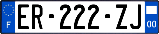 ER-222-ZJ